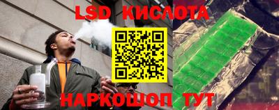 твердый Гатчина