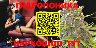 PSILOCYBIN Гай