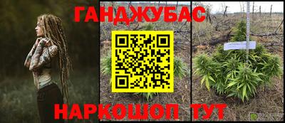 PSILOCYBIN Гай